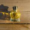 Kollektion-Okänd-Dam-100ml-1 Okänd Dam Parfym 100ml